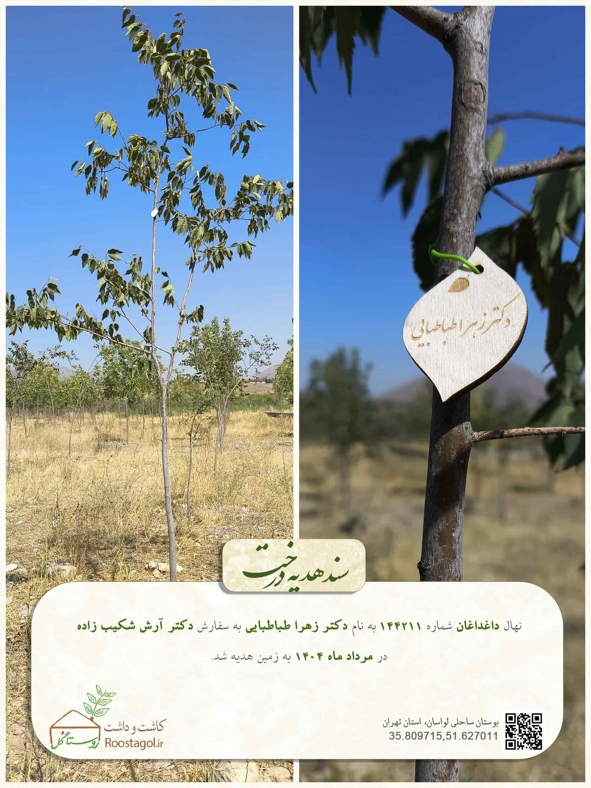 دکتر زهرا طباطبایی